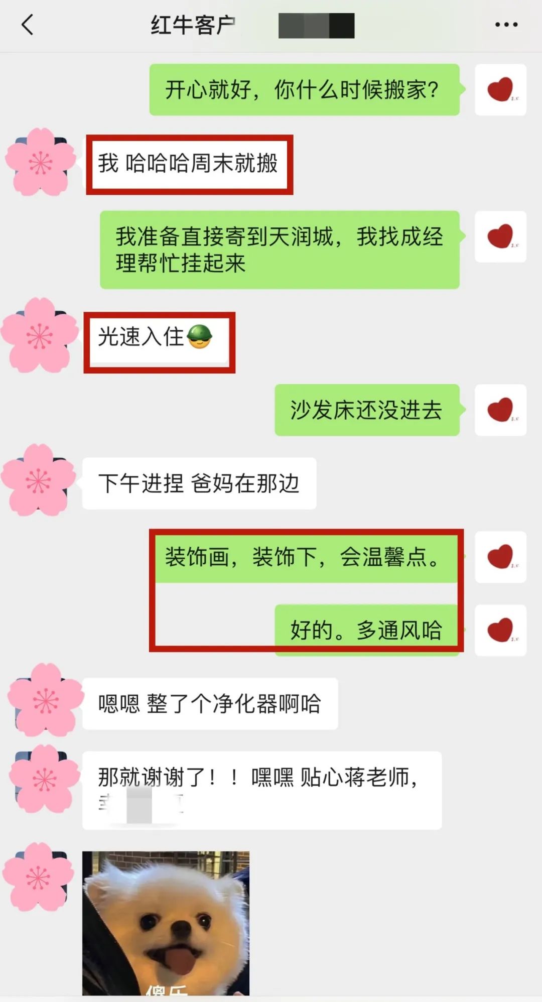 喜報(bào)｜金秋十月，收獲滿滿，紅牛裝飾再獲三面錦旗！05